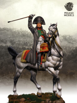 Napoleon miniature